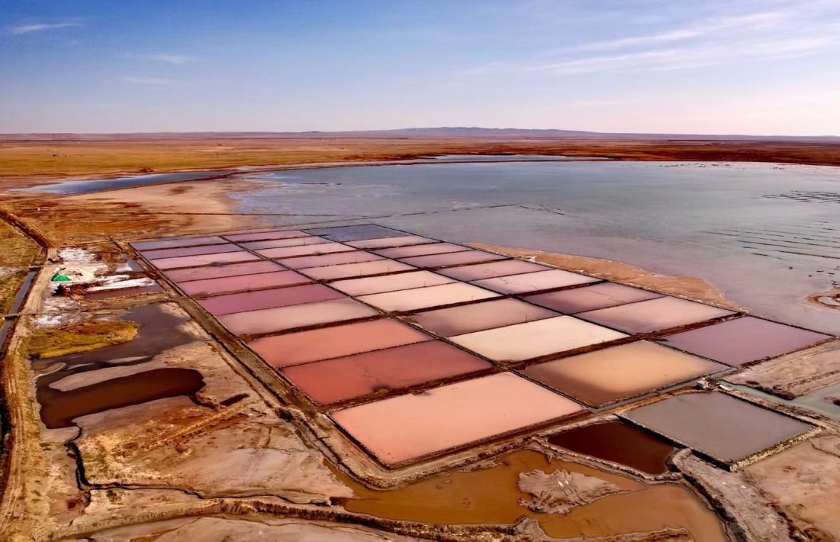 關(guān)于額吉淖爾大青鹽地理標(biāo)志品牌提升與推廣過(guò)程中的創(chuàng)新產(chǎn)出與高質(zhì)量專(zhuān)利布局技術(shù)服務(wù)網(wǎng)上比價(jià)采購(gòu)公告