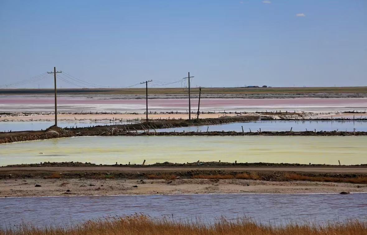 成交結(jié)果確認(rèn)公告